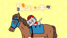 Постер аниме Кот-жокей