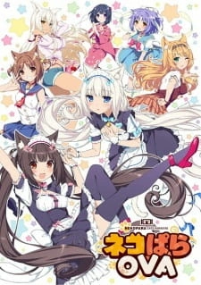 Постер аниме Кошачий рай OVA
