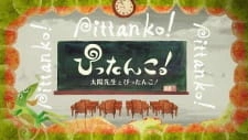 Постер аниме Pittanko! Taiyou-sensei to Pittanko