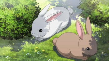 Кадр 1 аниме Заказывали кролика? 3