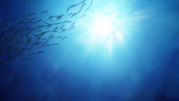 Кадр 1 аниме Морская история: То, что в твоих силах