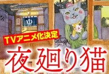 Постер аниме Ночной кот